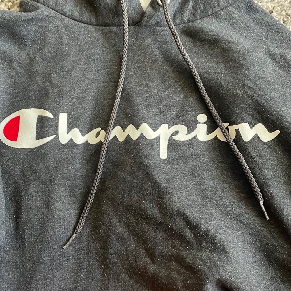 Grey champion sweater